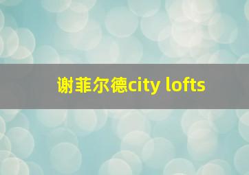 谢菲尔德city lofts